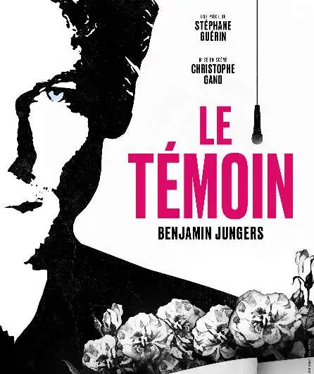 Affiche  spectacle : Le Témoin