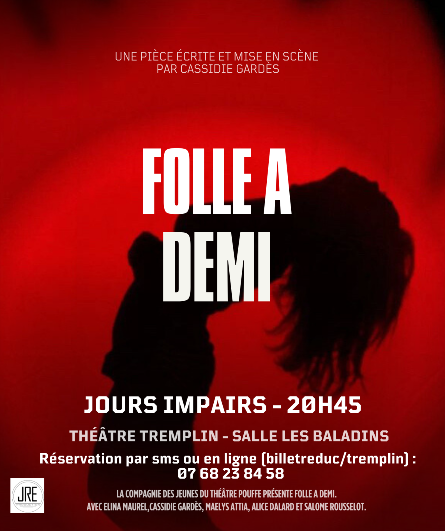 Affiche du spectacle Folle à demi