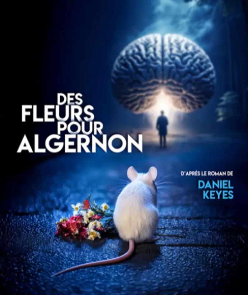 Affiche  spectacle : Des Fleurs pour Algernon