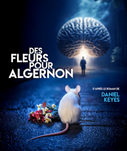Affiche du spectacle Des Fleurs pour Algernon